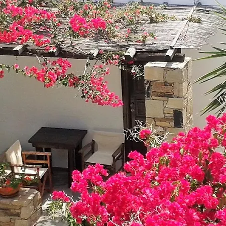 Cochili 阿佐里姆诺斯